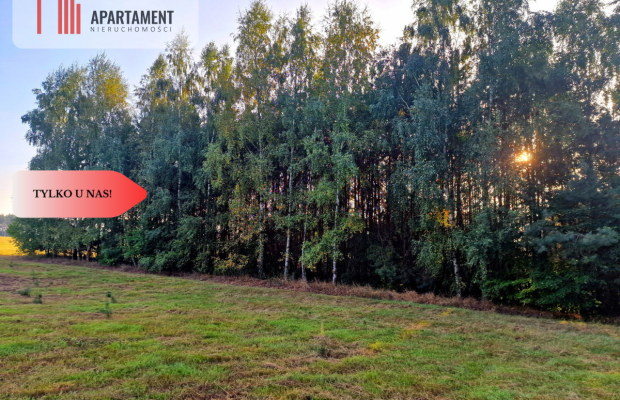 Działka budowlana przy lesie pod Bydgoszczą