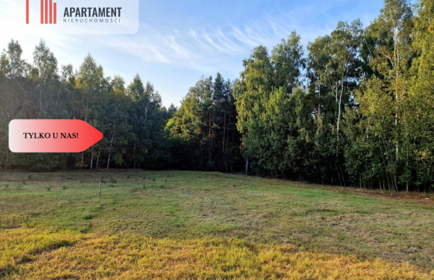 Działka budowlana przy lesie pod Bydgoszczą