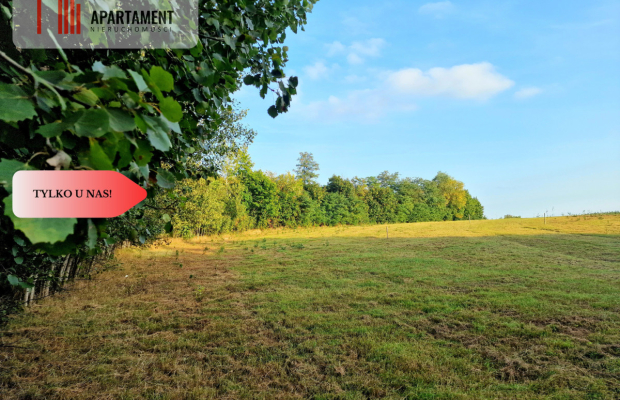 Działka budowlana przy lesie pod Bydgoszczą