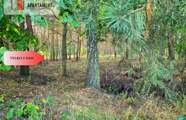 Działka budowlana przy lesie pod Bydgoszczą