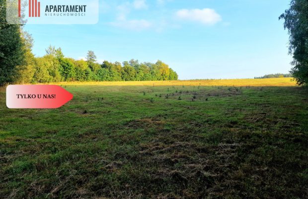 Działka budowlana przy lesie pod Bydgoszczą