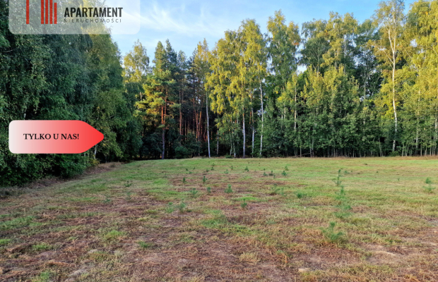 Działka budowlana przy lesie pod Bydgoszczą