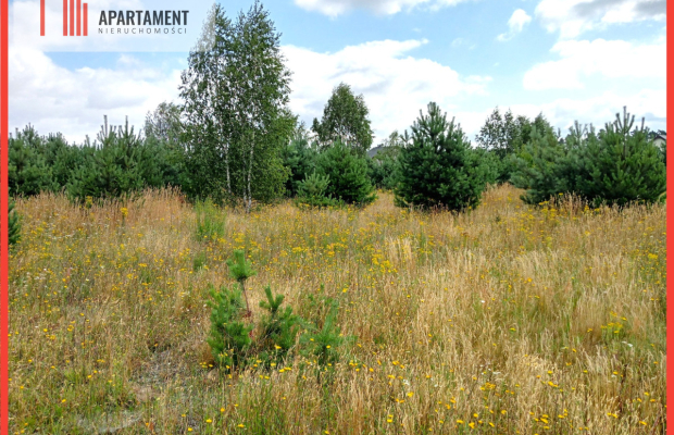 Stronno działka 993 m2 z WZ cisza spokój