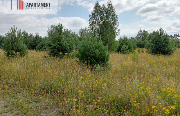 Stronno działka 993 m2 z WZ cisza spokój