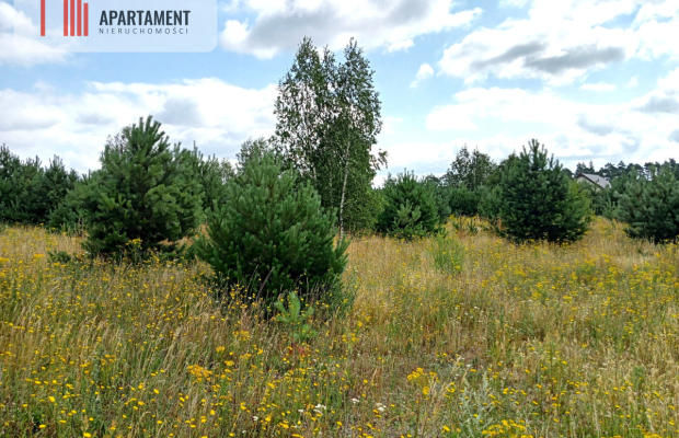 Stronno działka 993 m2 z WZ cisza spokój