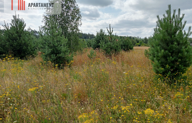 Stronno działka 993 m2 z WZ cisza spokój