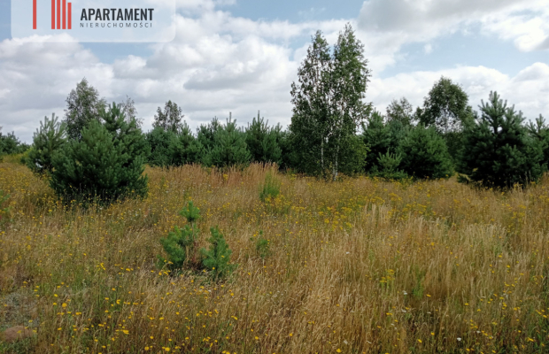 Stronno działka 993 m2 z WZ cisza spokój