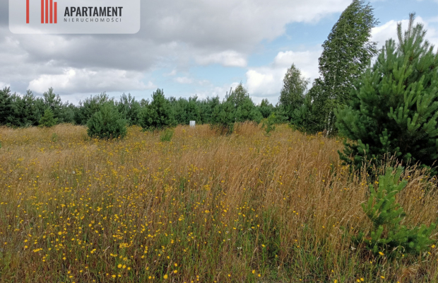 Stronno działka 993 m2 z WZ cisza spokój