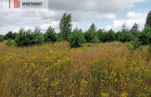 Stronno działka 993 m2 z WZ cisza spokój