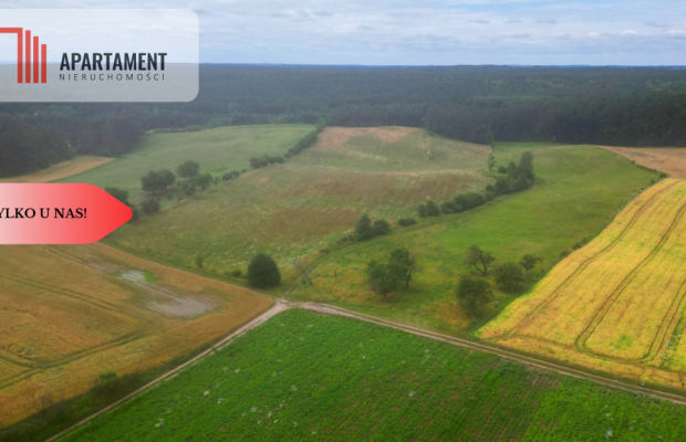 Siedlisko z warunkami zabudowy