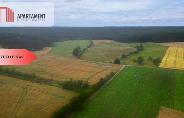 Siedlisko z warunkami zabudowy