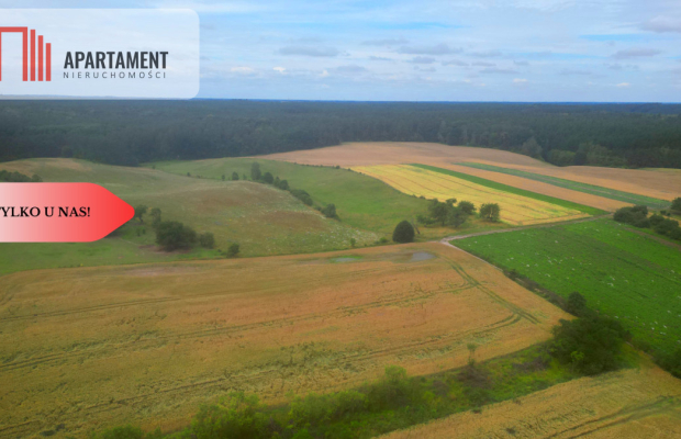 Siedlisko z warunkami zabudowy