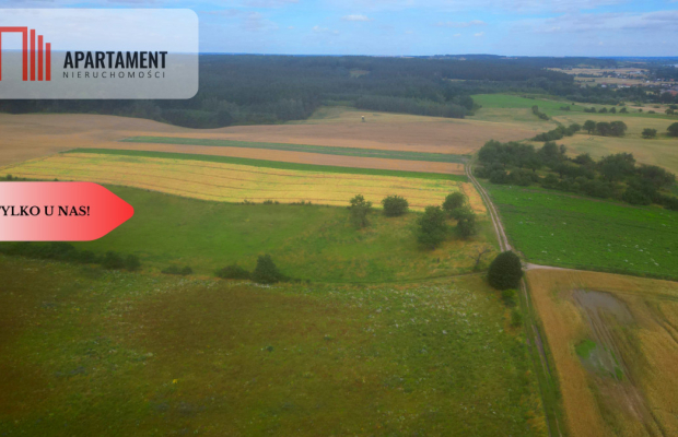 Siedlisko z warunkami zabudowy