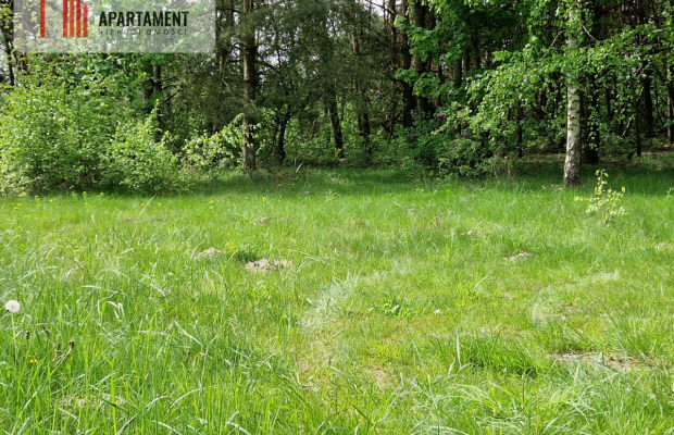 Działki z linią brzegową jeziora bez sąsiedztwa