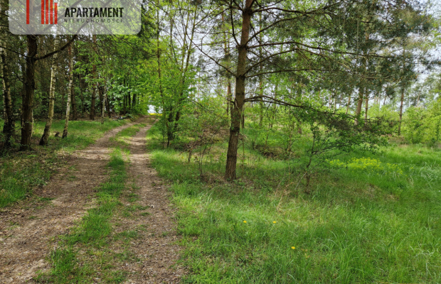 Działki z linią brzegową jeziora bez sąsiedztwa