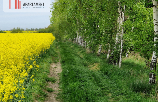 Działki z linią brzegową jeziora bez sąsiedztwa