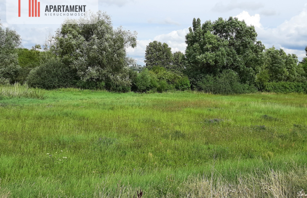 Działka w Żninie blisko jeziora Dużego