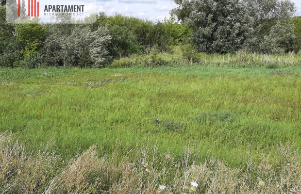 Działka w Żninie blisko jeziora Dużego