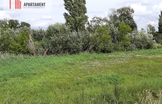 Działka w Żninie blisko jeziora Dużego