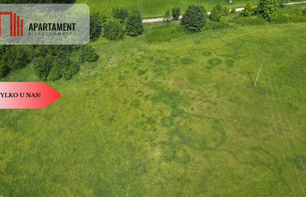 TYLKO U NAS! PIĘKNE DZIAŁKI NA TWÓJ DOM
