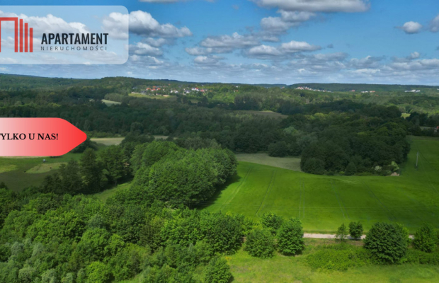 TYLKO U NAS! PIĘKNE DZIAŁKI NA TWÓJ DOM