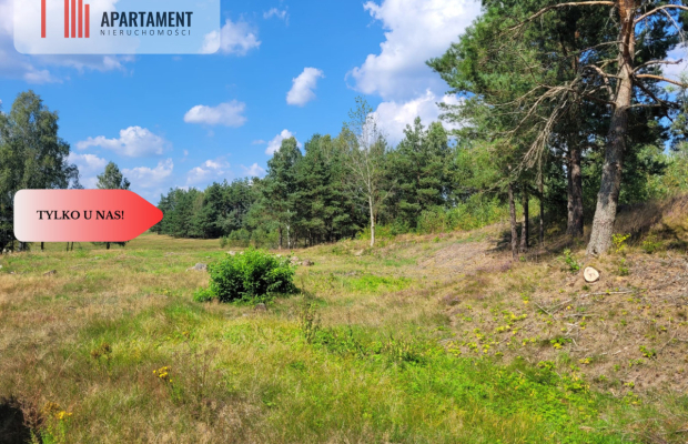 działka leśno rolna