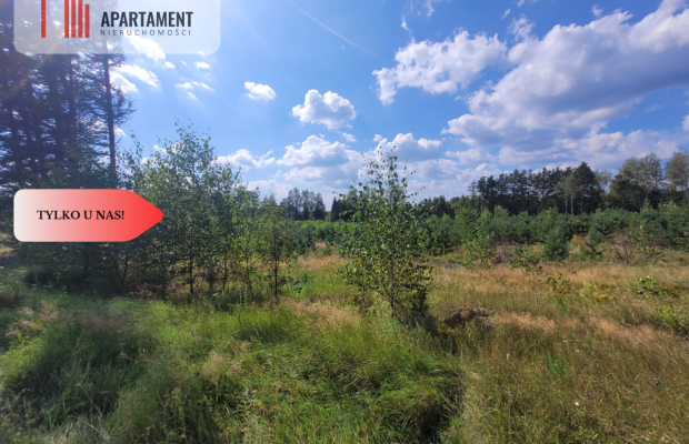 działka leśno rolna