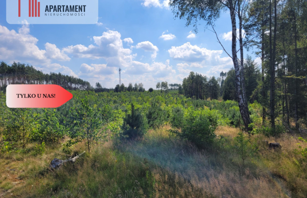 działka leśno rolna