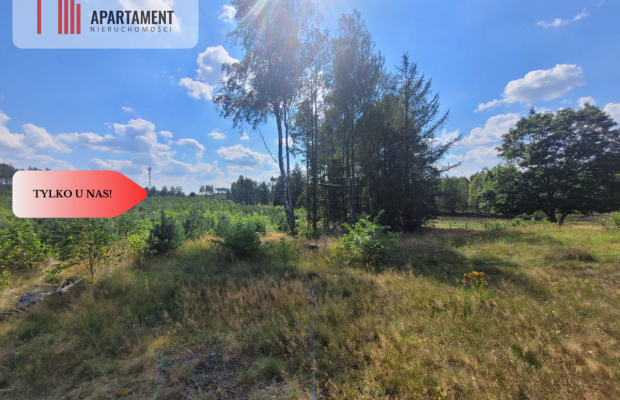 działka leśno rolna