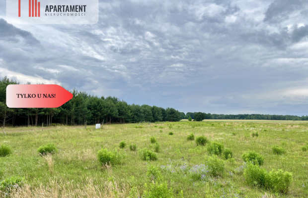 Szlakiem Napoleona! Działki Budowlane Brunów!MEDIA