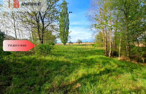 Tylko u nas. Działka w Mamliczu