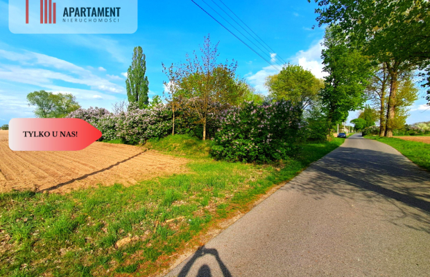 Tylko u nas. Działka w Mamliczu