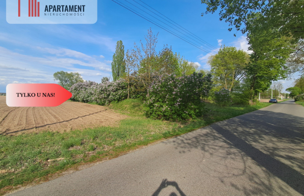 Tylko u nas. Działka w Mamliczu