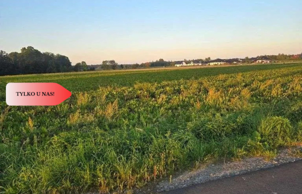 Działka pod inwestycję