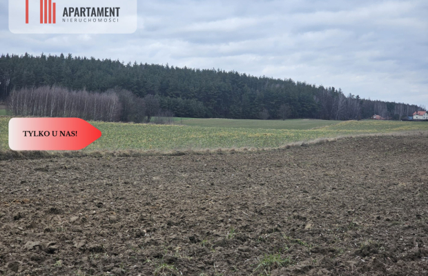 Tylko u nas - działka rolna!