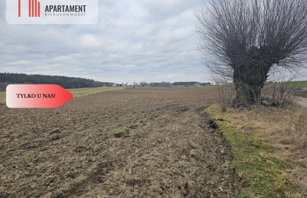 Tylko u nas - działka rolna!