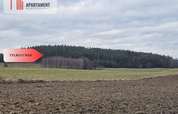 Tylko u nas - działka rolna!