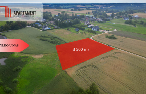 Działka 3500 m² w Skrzydłowie, z warunkami zabudow