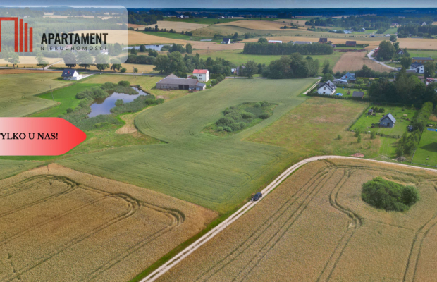 Działka 3500 m² w Skrzydłowie, z warunkami zabudow