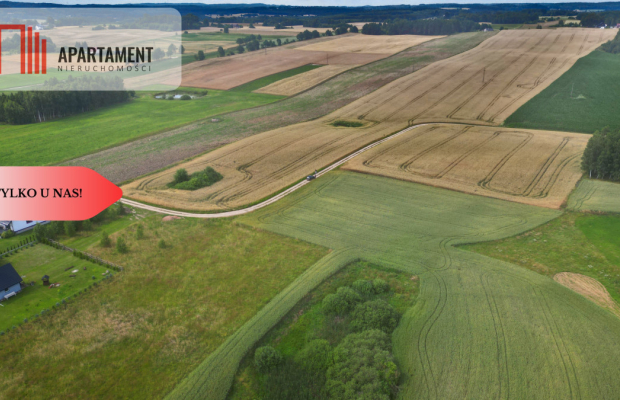 Działka 3500 m² w Skrzydłowie, z warunkami zabudow