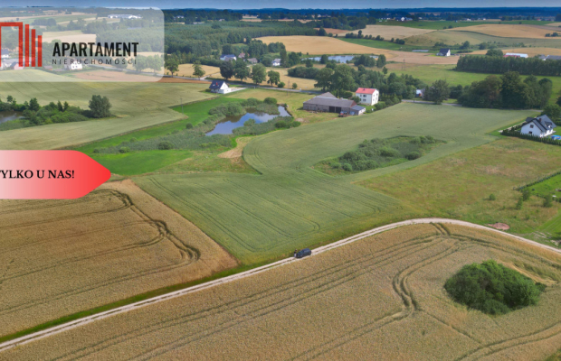 Działka 3500 m² w Skrzydłowie, z warunkami zabudow