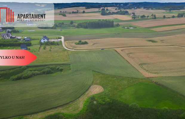 Działka 3500 m² w Skrzydłowie, z warunkami zabudow