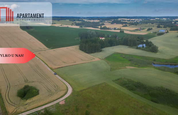 Działka 3500 m² w Skrzydłowie, z warunkami zabudow