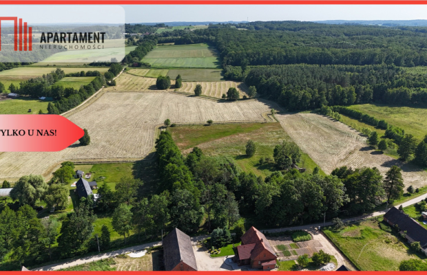 Malownicze działki wśród natury w Niesułowicach