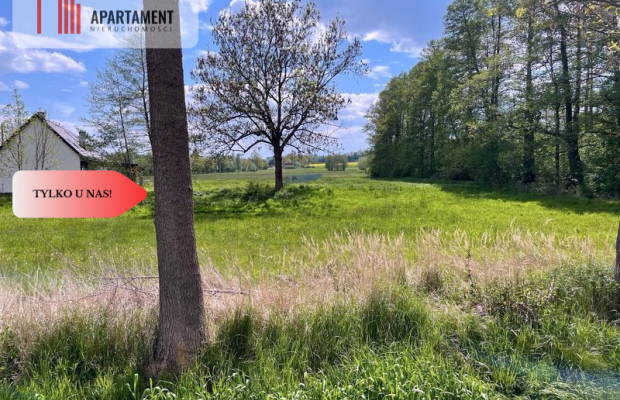 Malownicze działki wśród natury w Niesułowicach