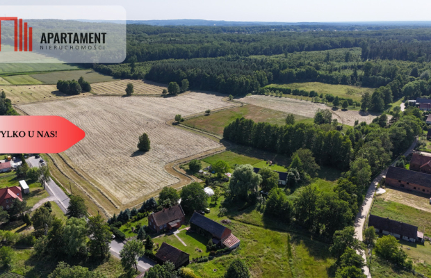 Malownicze działki wśród natury w Niesułowicach