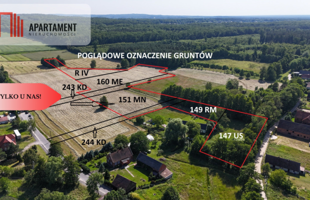 Malownicze działki wśród natury w Niesułowicach