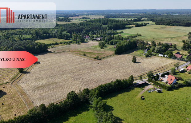Malownicze działki wśród natury w Niesułowicach