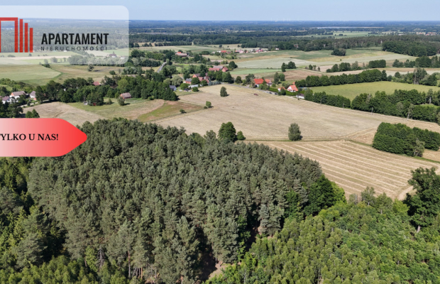 Malownicze działki wśród natury w Niesułowicach