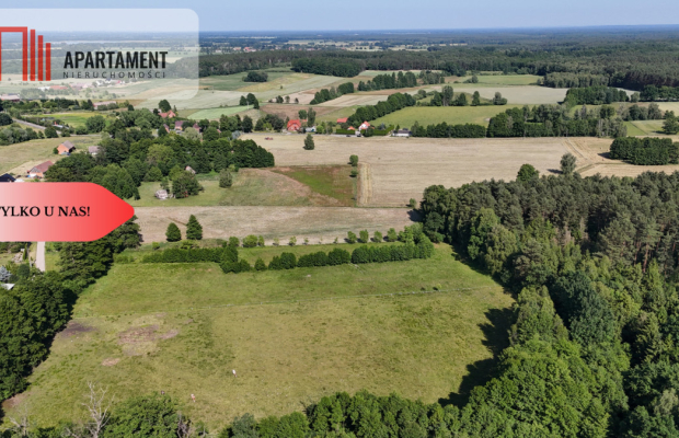 Malownicze działki wśród natury w Niesułowicach